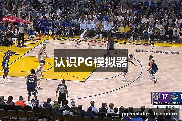 认识PG模拟器